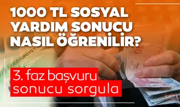Son dakika: Pandemi 1000 TL sosyal yardım ödemeleri ne zaman yapılacak? E-Devlet ekranı ile 3. Faz 1000 TL sosyal yardım başvuru sonucu sorgulama