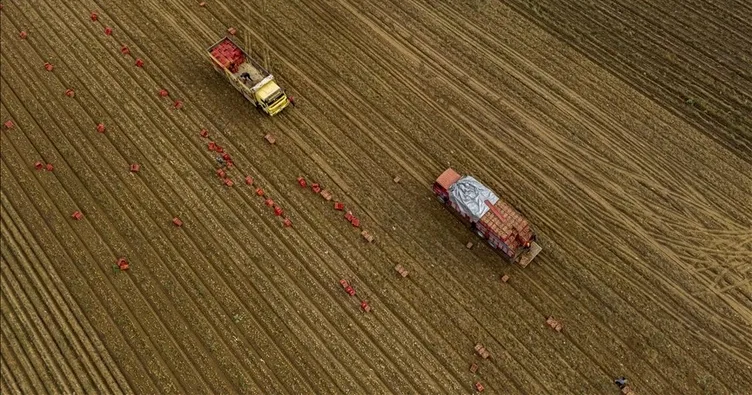 Tarım ÜFE martta yüzde 3.85 arttı
