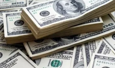 Hükümetten ’döviz’ açıklaması