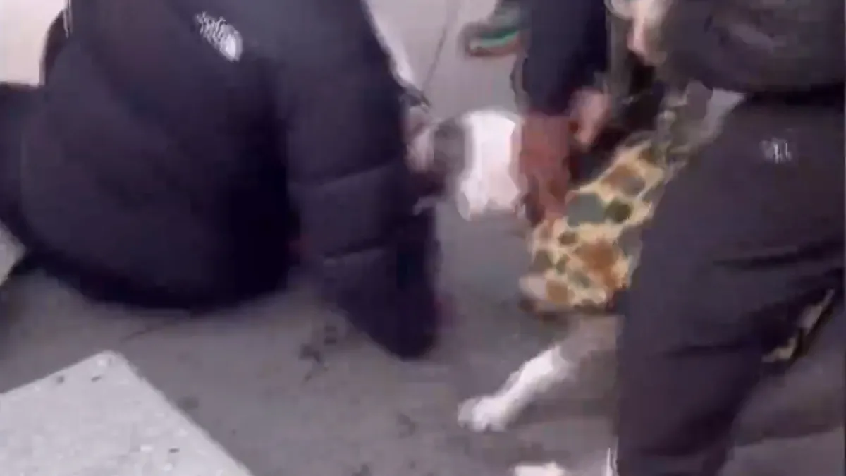 ABD’de pitbull dehşet saçtı: 1 yaşındaki çocuğun bacağını kaptı! İşte o anlar ABD’de pitbull dehşet saçtı: 1 yaşındaki çocuğun bacağını kaptı! İşte o anlar