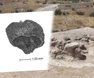 Denizli’de bulundu: Tam 3 bin 500 yıllık! 