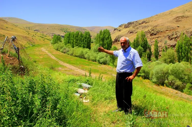 Şener Şen’in Züğürt Ağa filmi gerçek oldu: Sahibinden satılık köy! Şehre yerleşmeyi hedefliyor