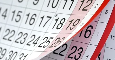 15 Temmuz resmi tatil mi? 15 Temmuz özel sektör ve kamuya tatil mi olacak?