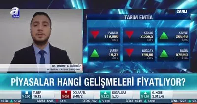 Dr. Mehmet Ali Gürbüz: Ons altın fiyatları için baskı azalabilir
