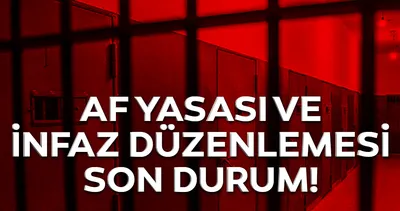 Af yasası ve ceza infaz düzenlemesi ile ilgili son dakika haberleri: 2020 Ceza indirimi düzenlemesi kimlere vuruyor, mahkumlar ne zaman tahliye olacak? Af yasası son durum bugün