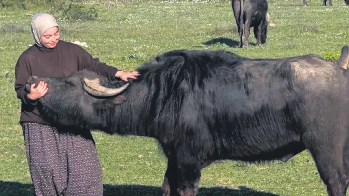 Çiftçilik: Birçok İşten Daha Zevkli Bir Uğraş