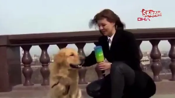 Canlı yayında mikrofonunu kapıp kaçan köpeği kovalayan muhabirin görüntüleri sosyal medyada olay oldu