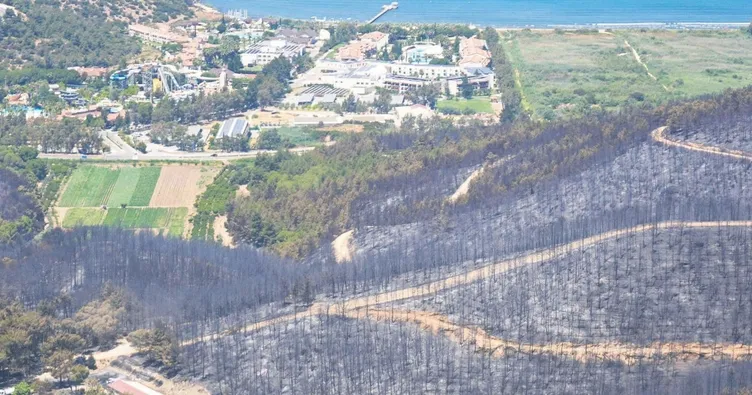 Ciğerimizi yaktık!