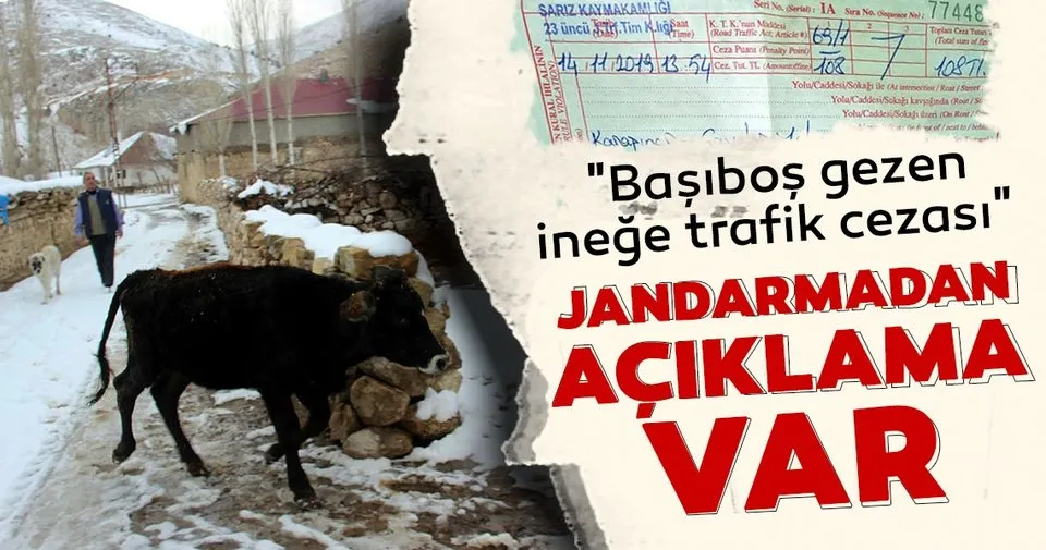 jandarmadan basibos gezen inege trafik