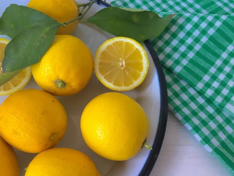 Limonun üzerine tuz serpmenin faydaları