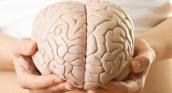 İnsan beyni hakkında şaşırtıcı gerçekler