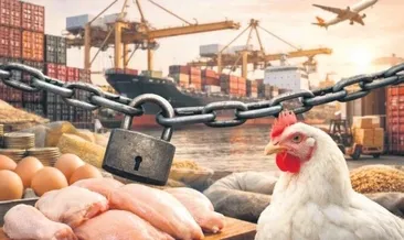 Tavuk eti ihracatı durduruldu