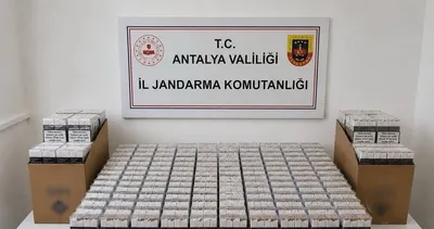 Alanya’da kaçak tütün operasyonu