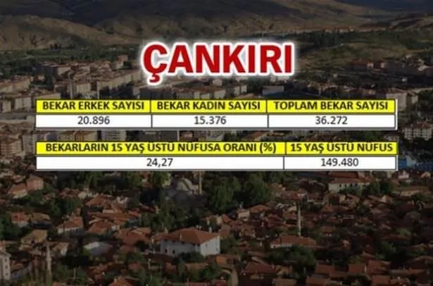 Türkiye’nin en bekar illeri