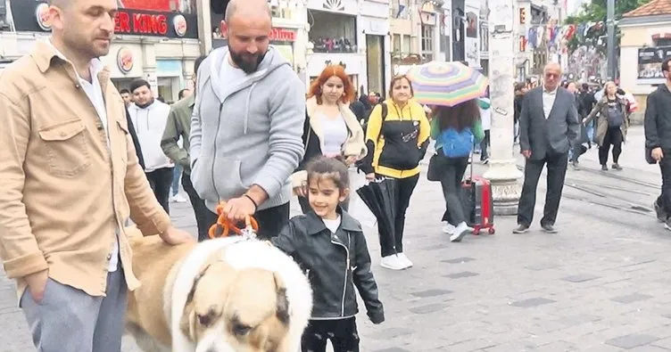 Şampiyon dev köpek Taksim’de
