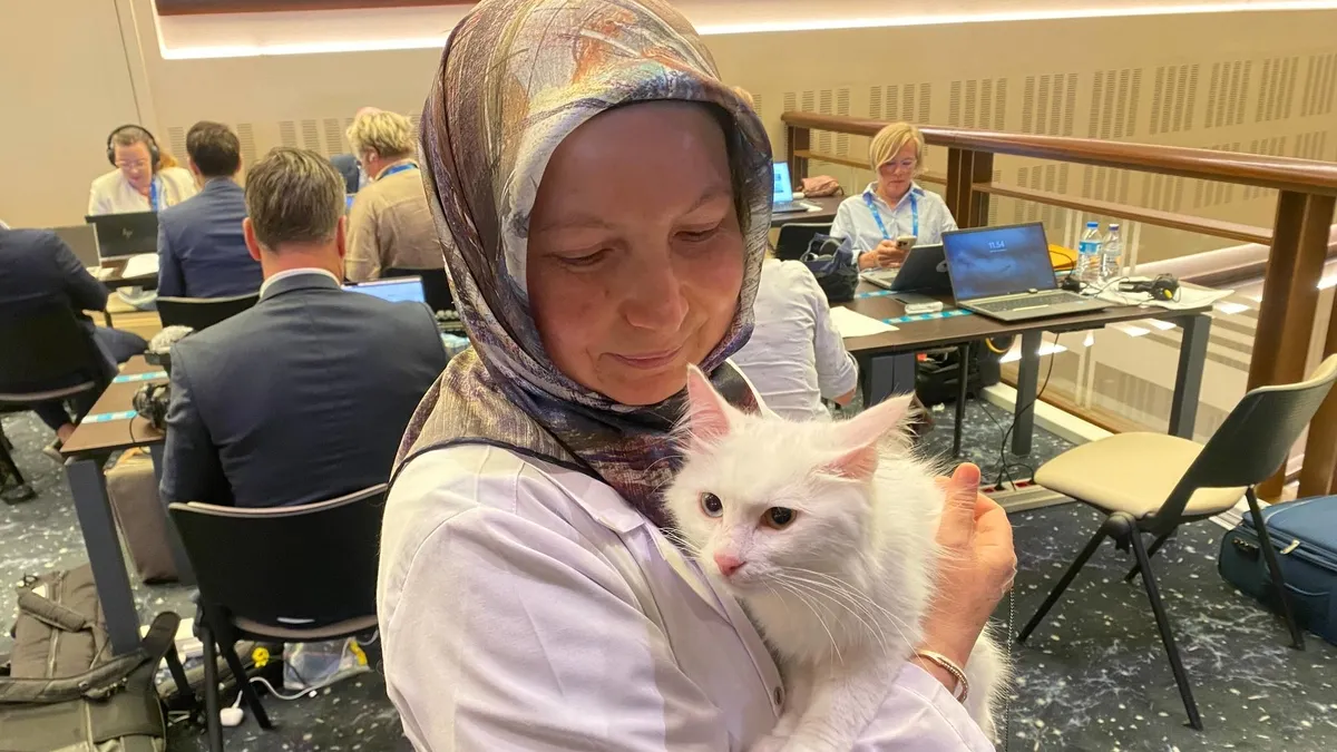 Yabancı basın mensuplarından Ankara kedisi Lokum’a büyük ilgi: Cumhurbaşkanlığı Millet Kütüphanesi’nde bakımı yapılıyor Yabancı basın mensuplarından Ankara kedisi Lokum’a büyük ilgi: Cumhurbaşkanlığı Millet Kütüphanesi’nde bakımı yapılıyor