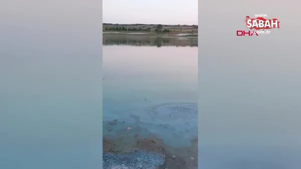Sazlıbosna Barajı'nda tedirgin eden görüntü: Su yosunlaşmış balıklar ölüyor! | Video