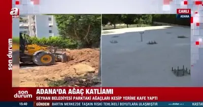 Adana’da ağaç katliamı! CHP’li Belediye parktaki ağaçları kesip yerine kafe yaptı | Video