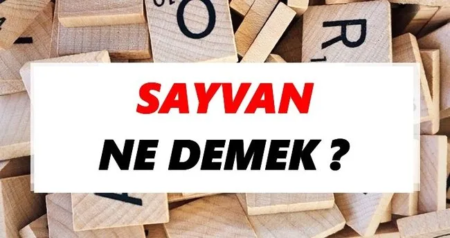 Sayvan Ne Demek? TDK’ya Göre Sayvan Sözlük Anlamı Nedir?