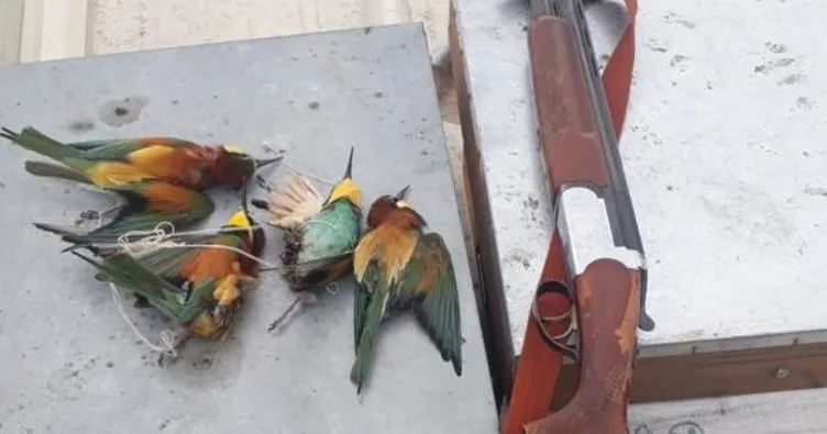 Koruma altındaki kuşları vurana 8 bin TL para cezası