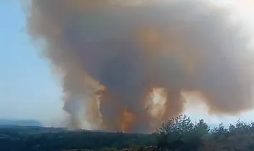 Adana'daki orman yangını kontrol altında! #adana