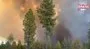 ABD’nin Oregon eyaletinde orman yangını: Bin 700 dönümlük alan kül oldu | Video