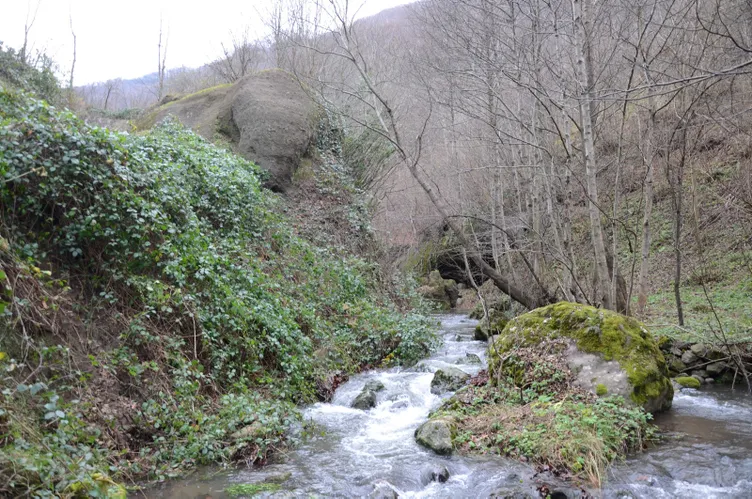 Orduâdaki âFil Kayasıâ görenleri ÅaÅırtıyor