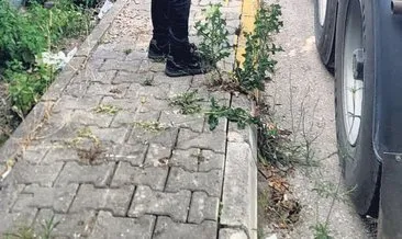 Sayın dolandırıcım ‘bakar mısınız’ #kocaeli