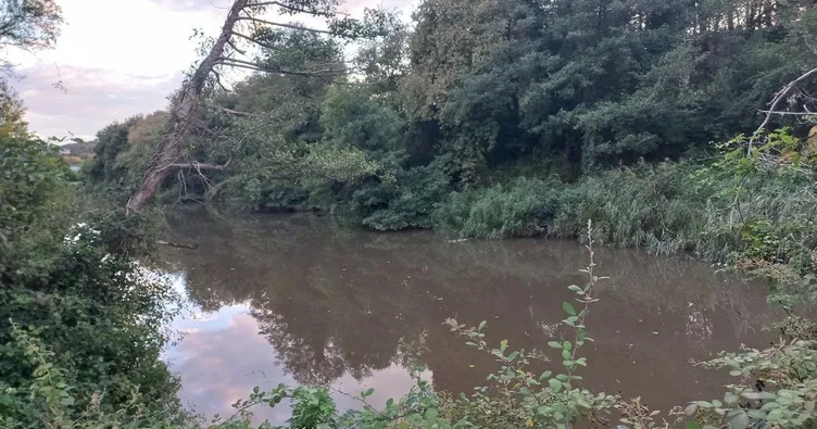 Cennet Riva ölüyor!