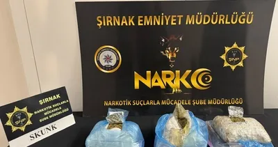 Cizre’de narkotik operasyonu! 2 tutuklama