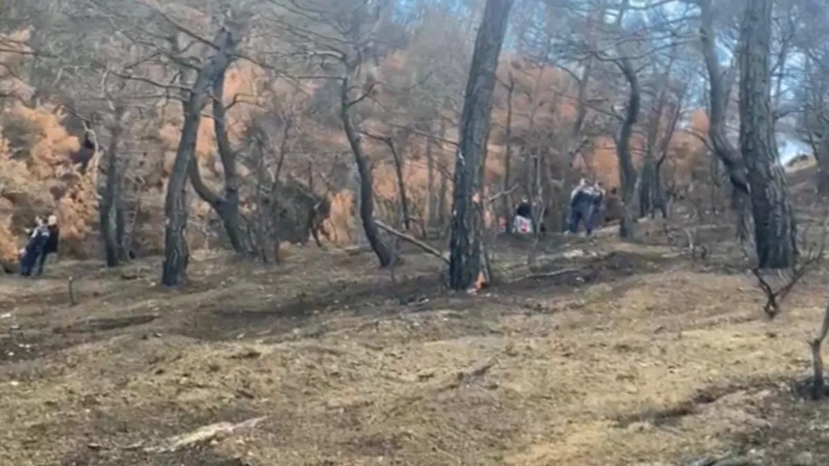 SON DAKİKA… Çanakkale’de ormanlık alanda yanmış ceset bulundu: Gizemi akıllı saatin seri numarası çözecek!