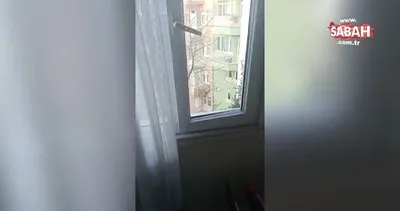 Halı silkeleyen komşuya huzur bozma davası | Video