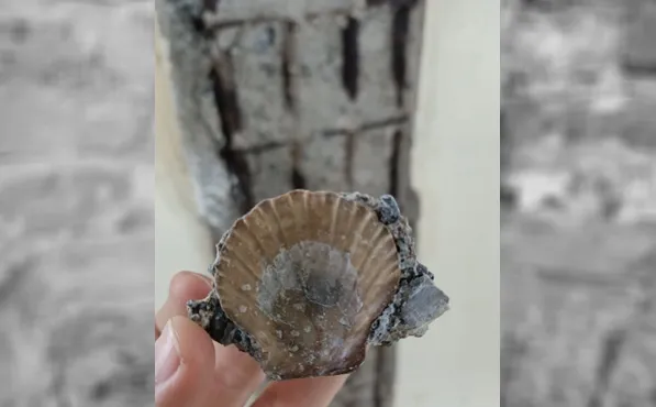 ’Kız Kulesi yıkıldı’ iddiaları cehaletlerini ortaya koydu! İşte gerçekler ve Kız Kulesi’nin görüntüleri