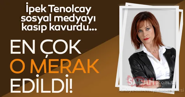 ipek tenolcay
