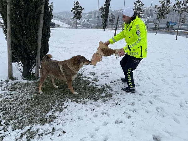 sokak-hayvanlarini-yalniz-birakmadilartrafik-polisleri-sokak-kopeklerini-boyle-besledi-1647102165644.jpeg