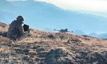 Lice’de büyük Eren Operasyonu