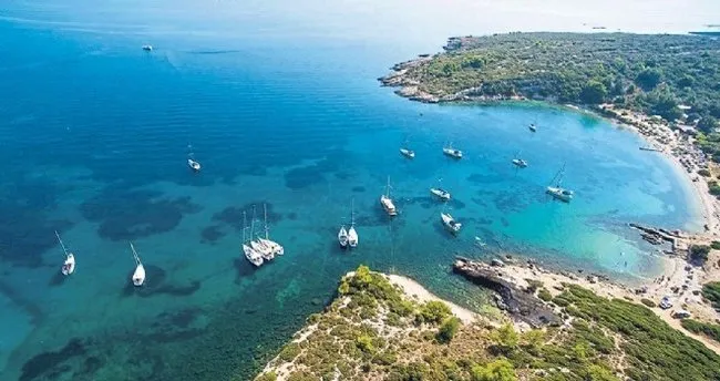 Cennet koyunu kurtaran karar – Son Dakika Haberler