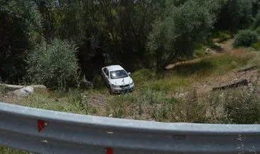 Aksaray'da sürücüyü arı soktu, otomobil şarampole devrildi : 4 yaralı #aksaray