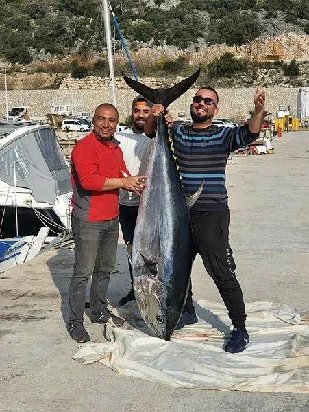 Antalya'da oltaya gelen balığı görünce gözlerine inanamadılar! Tekneyi tam bir 1 saat sürükledi