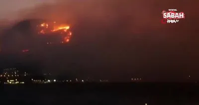 Güney Afrika Cumhuriyeti’nde orman yangını: 5 yaralı | Video
