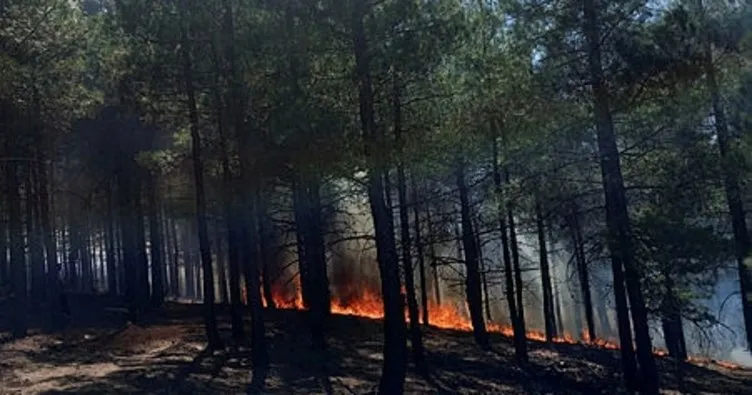 Adana’daki orman yangını kontrol altında