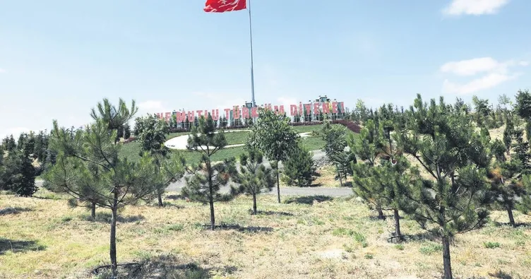 Başkentin en büyük 15 Temmuz ormanı