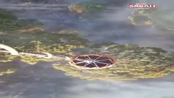 Bodrum'un ardından bir yangın da Milas'ta | Video
