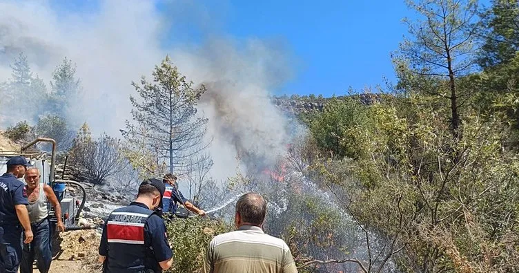 Mersin’de orman yangını