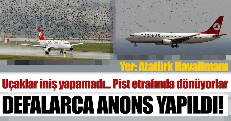 Son dakika: Atatürk Havalimanı’nda leylekler hava trafiğini olumsuz etkiledi