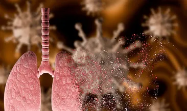 Akciğer sağlığı için 10 önemli gıda