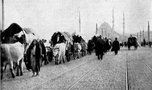 Çocuk, yaşlı demeden vahşice katlettiler! Balkan savaşı sonrası sistematik işkence