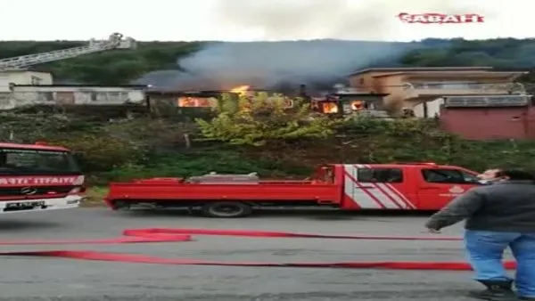 Son dakika! Anadolu Kavağı'nda yangın! | Video