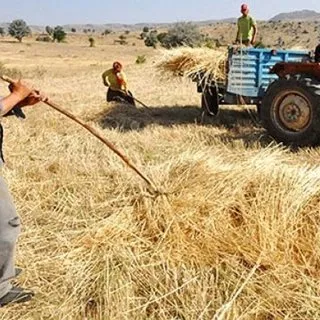 İkinci bahar paketi geliyor! 50 bin çiftçiyi ilgilendiriyor...