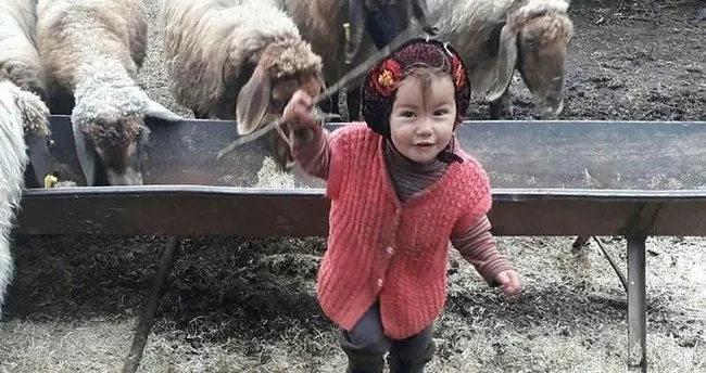 muslume yagal in arandigi bolgede kan izine rastlandi 3 yasindaki kucuk kiz muslume yagal nerede muslume yagal bulundu mu son dakika spor haberleri
